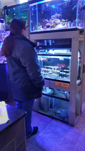 Tropical Fish Store «Best Fish», reviews and photos, 1335 N Doctor M.L.K. Dr, Milwaukee, WI 53212, USA
