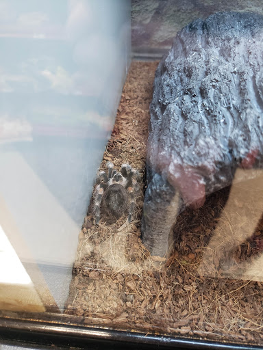 Pet Supply Store «Petco Animal Supplies», reviews and photos, 430 N Euclid St, Anaheim, CA 92801, USA