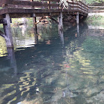 Photo n°3 de l'avis de Trentini.o fait le 25/06/2019 à 11:23 sur le  Baita Garba à Salorno