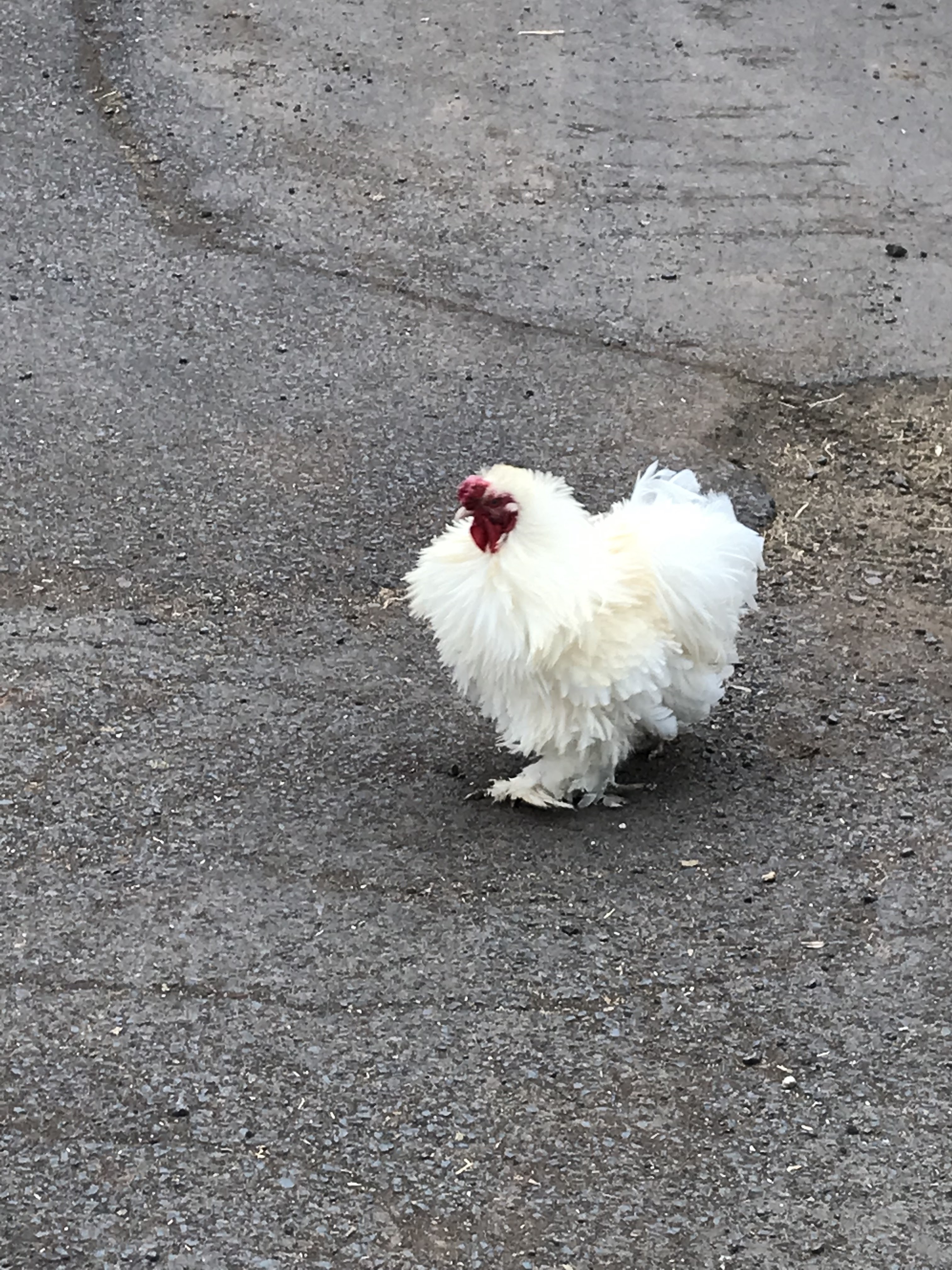 Photo n° 5 de l'avis de Laurence. fait le 16/05/2022 à 04:10