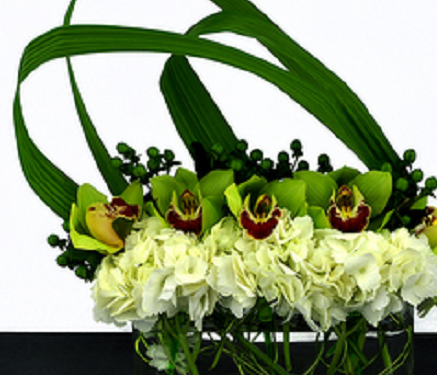 Florist «Alfa Flower Shop», reviews and photos, 7001 W North Ave, Wauwatosa, WI 53213, USA