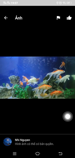 Top 20 khách sạn mới Huyện Bù Gia Mập Bình Phước 2022