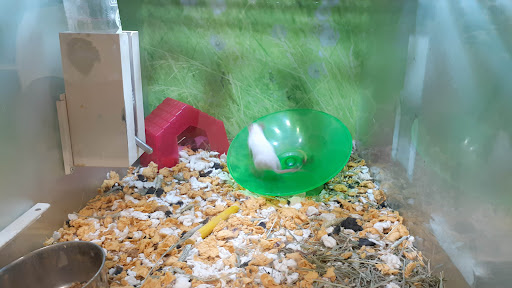 Pet Supply Store «PetSmart», reviews and photos, 4654 Milestone Ln, Castle Rock, CO 80104, USA