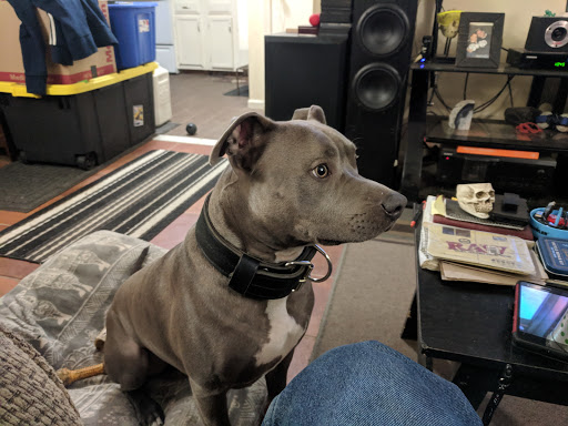 Pet Supply Store «Choice Pet - Danbury», reviews and photos, 67 Newtown Rd, Danbury, CT 06810, USA