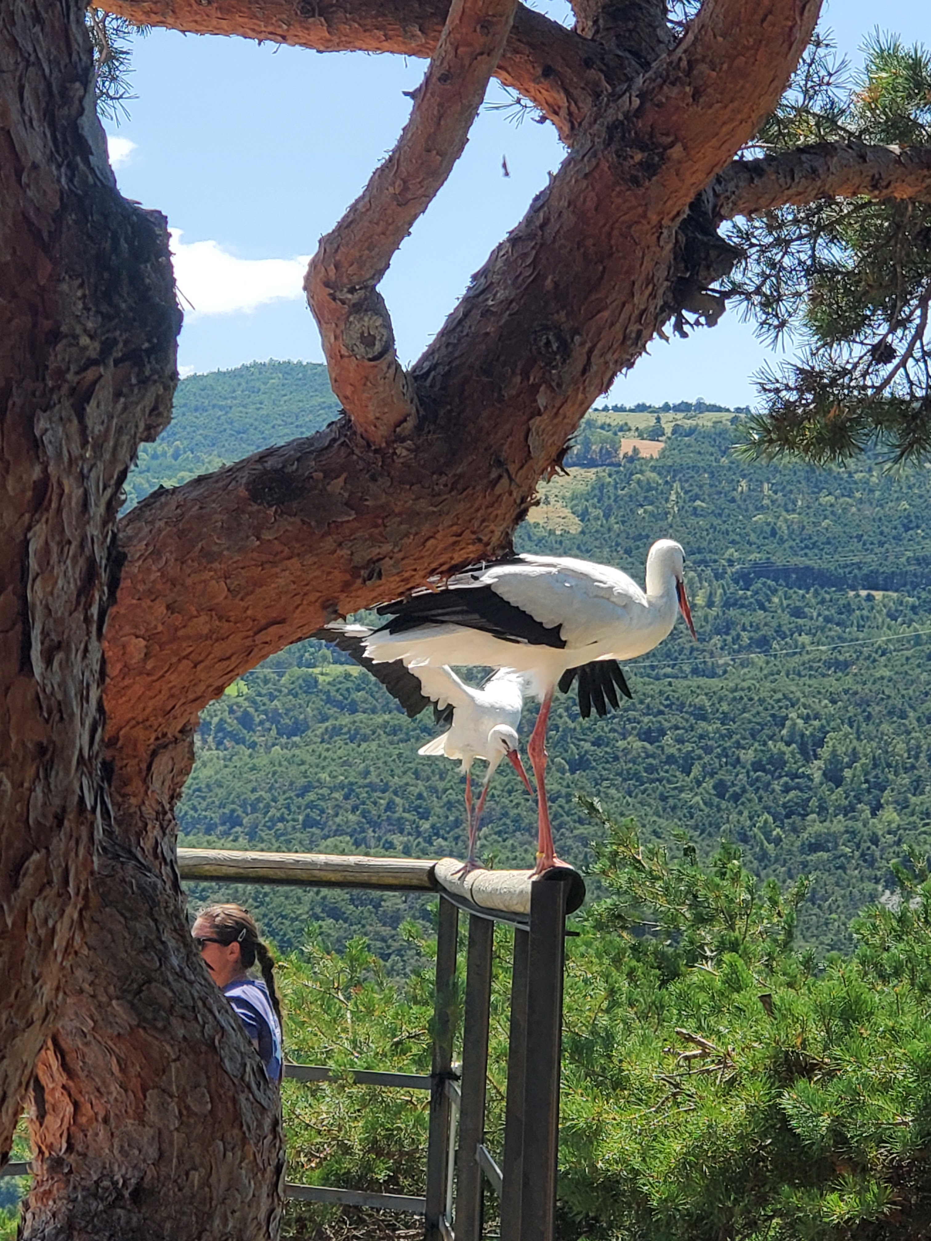 Photo n° 19 de l'avis de Lynda.e fait le 15/08/2023 à 10:47