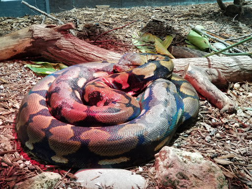 Zoo «Niabi Zoo», reviews and photos, 13010 Niabi Zoo Rd, Coal Valley, IL 61240, USA