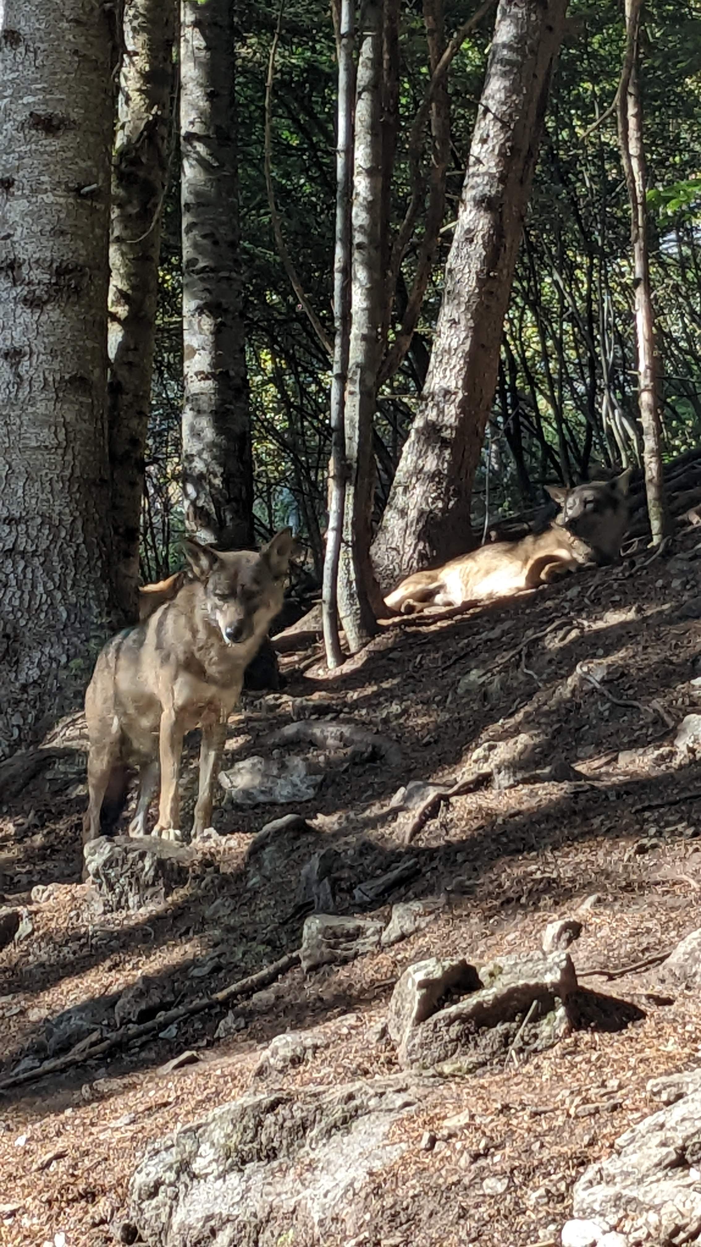 Photo n° 11 de l'avis de Florian.o fait le 11/09/2022 à 15:52
