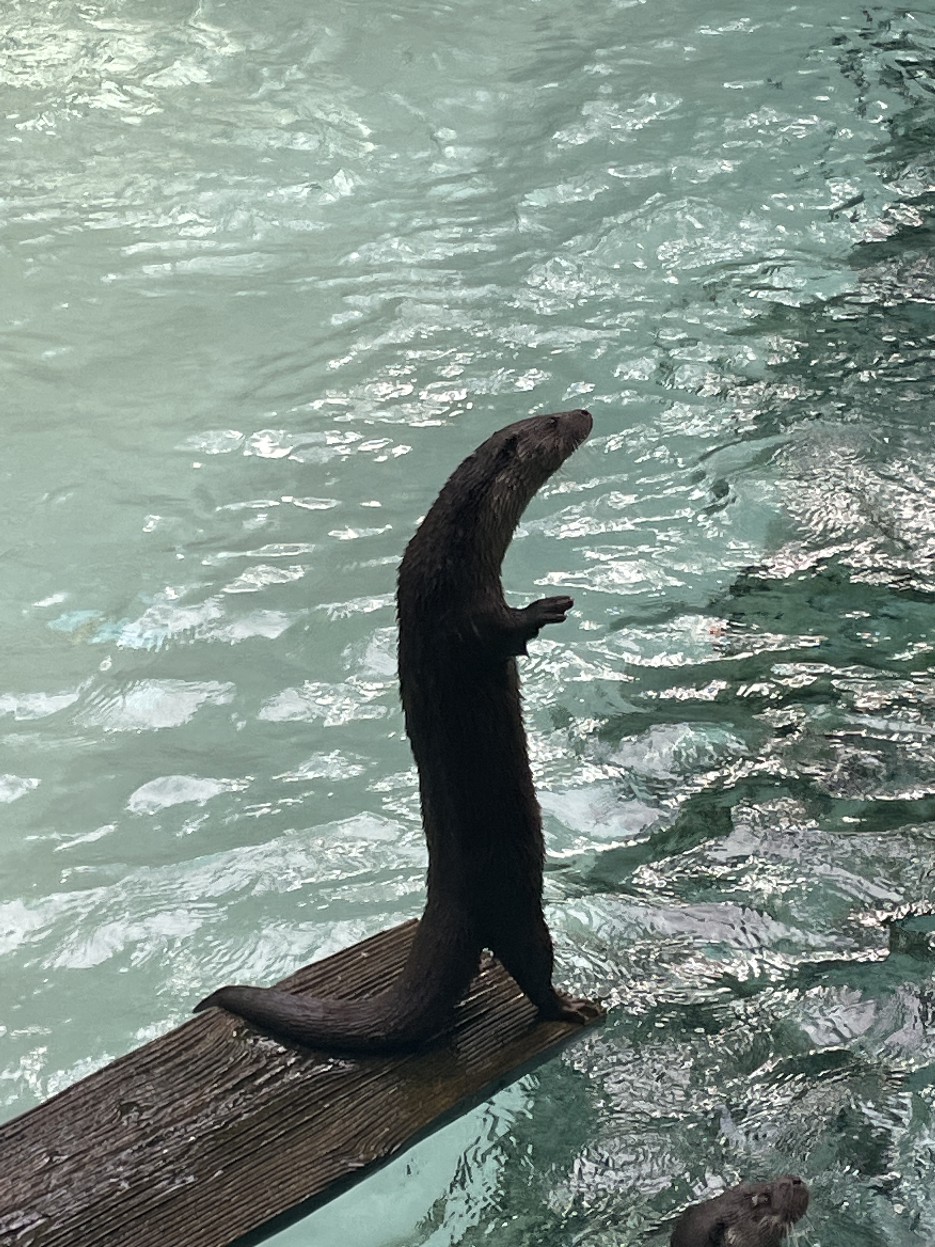 Photo n° 5 de l'avis de Vincent. fait le 06/08/2023 à 19:38