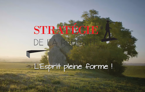 Stratégie de la Réussite à Treuzy-Levelay