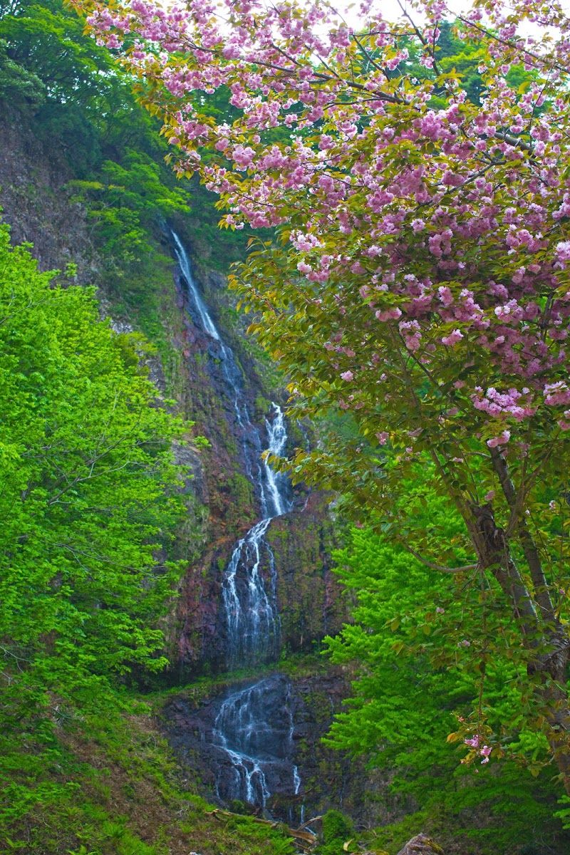 糸滝