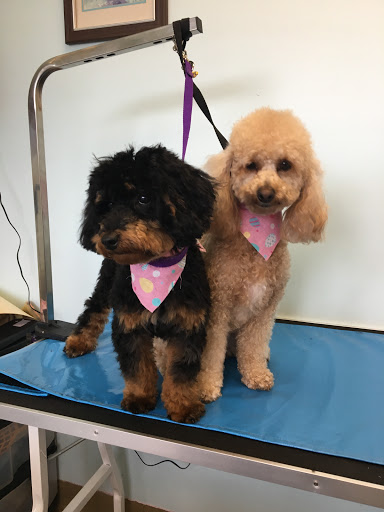 Pet Supply Store «Animal House Grooming & Quality», reviews and photos, 229 W Absecon Blvd, Absecon, NJ 08201, USA