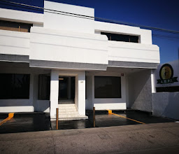 Celaya Central Inmobiliaria photo