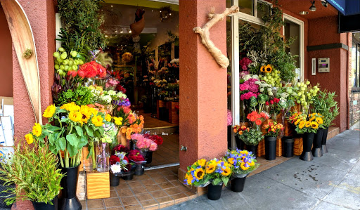 Florist «Not Just Flowers», reviews and photos, 4109 18th St, San Francisco, CA 94114, USA