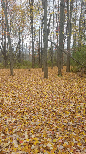 Park «Ira Township Park», reviews and photos, 7085 Meldrum Rd, Ira Township, MI 48023, USA