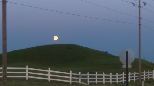 Golf Course «Winding Ridge Golf Club», reviews and photos, 5450 Bogey Dr, Indianapolis, IN 46235, USA