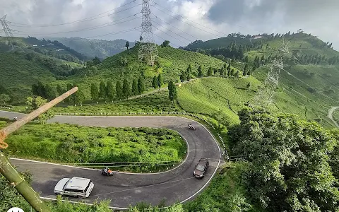 Tingling View Point image