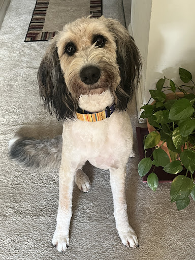 419 Dover Rd, Easton, MD 21601, USA