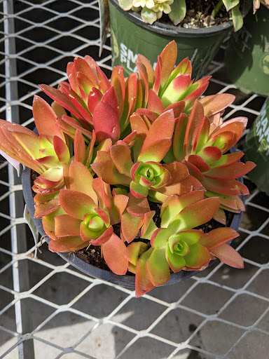 Home Improvement Store «The Home Depot», reviews and photos, 1100 Tharp Rd, Yuba City, CA 95993, USA