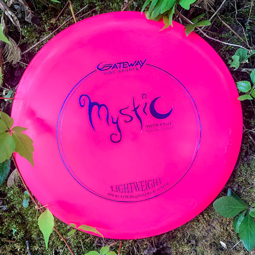 Sporting Goods Store «Gateway Disc Sports», reviews and photos, 10855 Metro Ct, Maryland Heights, MO 63043, USA