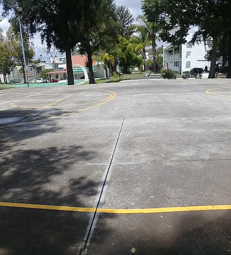 Facultad de Químico Farmacobiología de La Universidad Michoacana de San Nicolás de Hidalgo