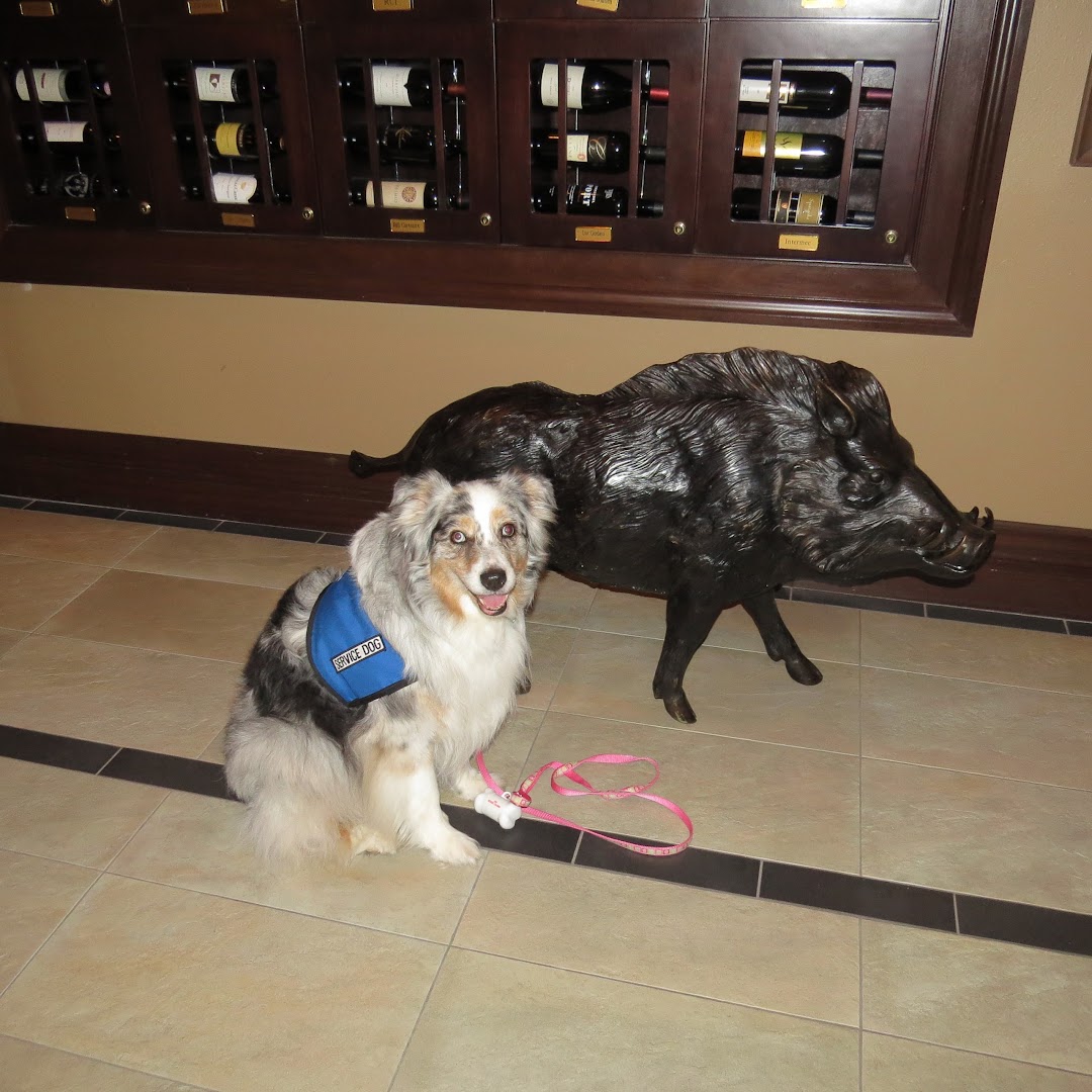 Star Bright Therapy and Obedience Dogs
