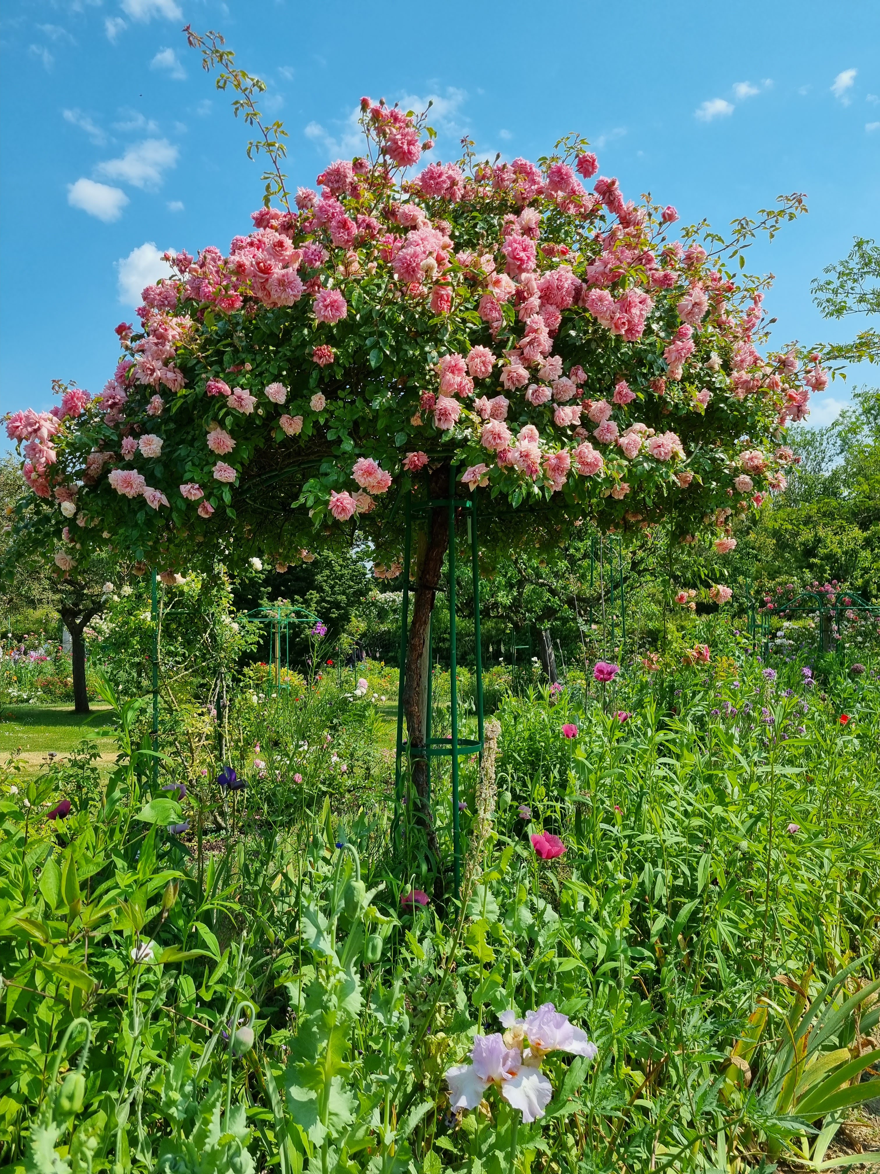 Photo n° 10 de l'avis de Sabine.o fait le 13/06/2023 à 19:16