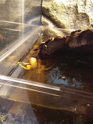 Pet Store «Pet World - Auburndale», reviews and photos, 3637 Havendale Blvd, Auburndale, FL 33823, USA