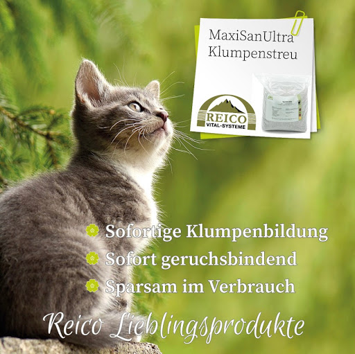 Tobias & Anne Wollenschläger | Reico Vertriebspartner für artgerechte Tiernahrung Hund & Katze unter Durmersheim, 