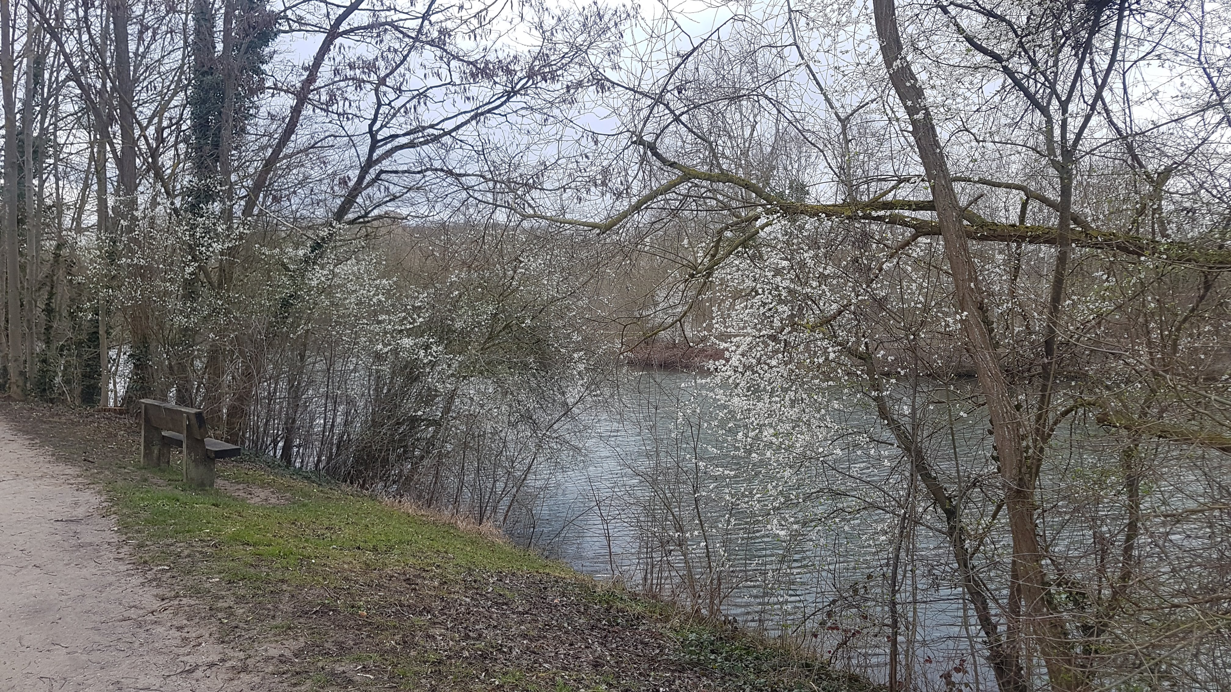 Photo n° 29 de l'avis de Jean-marie.o fait le 06/03/2019 à 12:51
