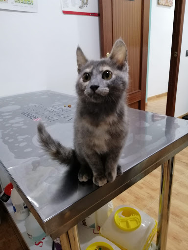 Centro Veterinario Luvet en Córdoba