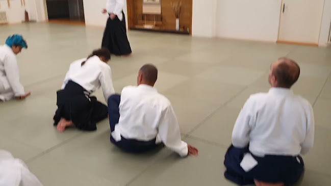 Kommentare und Rezensionen über Aikido Schule Basel