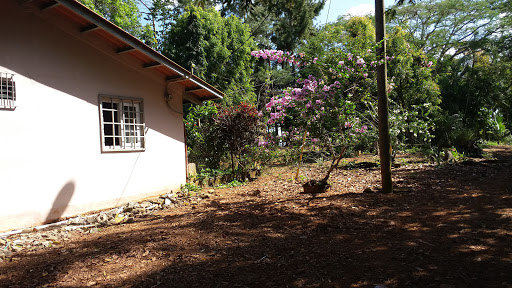 Finca Edwin