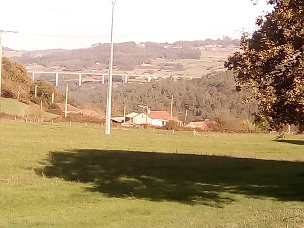 Transportes Vidueiros