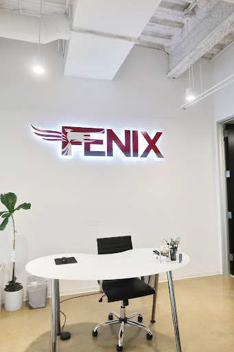 Fenix Consulting Group image