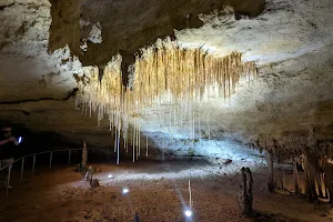 Naracoorte Caves National Park image