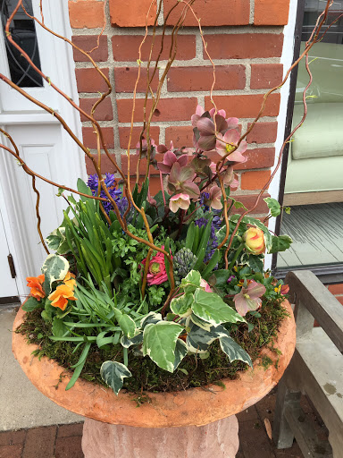 Florist «Earth Garden», reviews and photos, 89 Elm St, New Canaan, CT 06840, USA