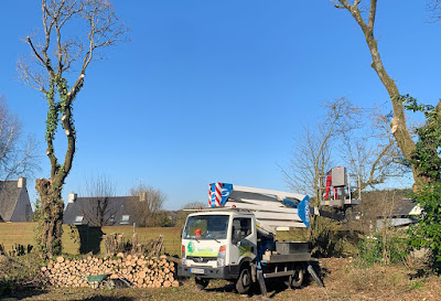 SARL Savéan et Fils - Élagueur Côtes-d'Armor : Taille Élagage Abattage Arbres Haies Espaces-Verts 22 La Roche-Jaudy à La Roche-Jaudy