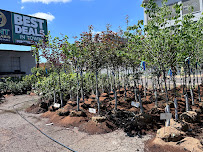 E.H. Glueck & Co. - Photo 4 - Car repair in St. Louis, MO, St. Louis