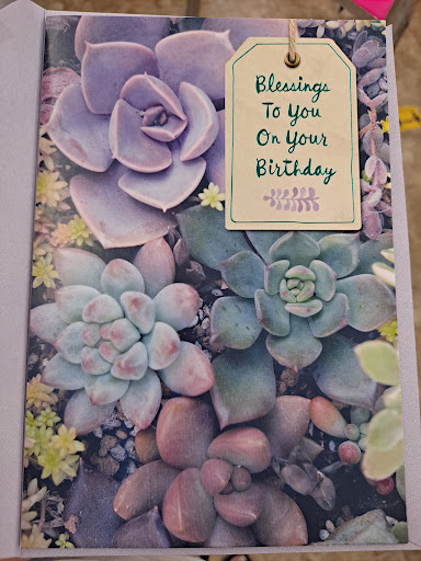 Dollar Store «Dollar Tree», reviews and photos, 1350 S Park Victoria Dr #10, Milpitas, CA 95035, USA