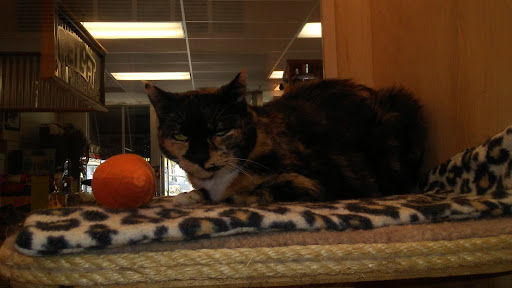 Pet Supply Store «Pet Loft», reviews and photos, 6333 SW Macadam Ave #104, Portland, OR 97239, USA