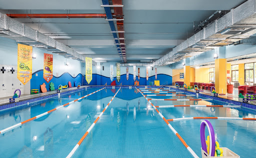 Aqua-Tots Swim Schools Tay Ho