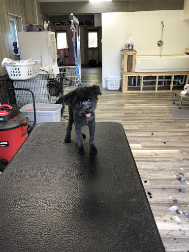 Three Lakes Pet Parlor