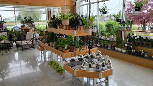 Stein's Garden & Home