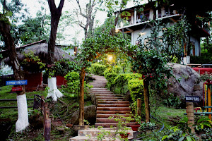Brahmaputra Jungle Resort image