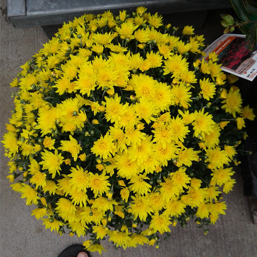 Home Improvement Store «The Home Depot», reviews and photos, 5410 Perkiomen Ave, Reading, PA 19606, USA