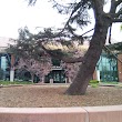Redwood City Hall