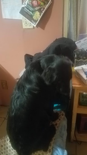 Pet Supply Store «Petco Animal Supplies», reviews and photos, 200 McMahan Blvd, Marion, OH 43302, USA