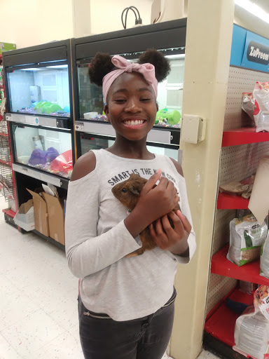 Pet Supply Store «Petco Animal Supplies», reviews and photos, 8164 Mall Pkwy, Lithonia, GA 30038, USA