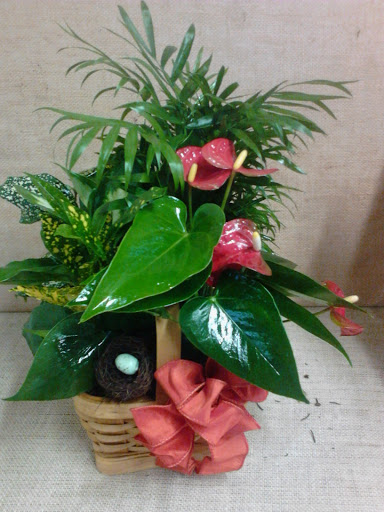 Florist «Valentin Occasions», reviews and photos, 1221 Powdersville Rd, Easley, SC 29642, USA