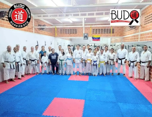 Taekwondo classes in Valencia